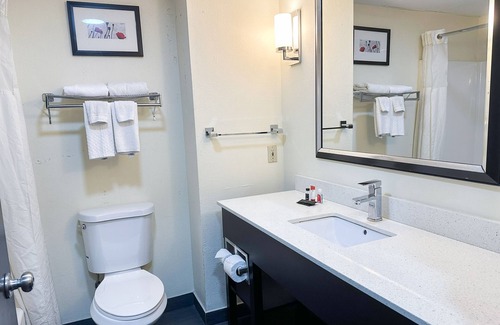 Mount Berry Hotel | OYO Hotel Rome West GA