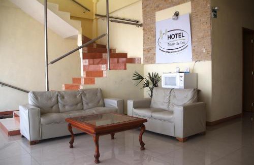 Teolocholco Hotel | OYO Hotel Trigos De Oro,San Luis Teolocholco Park