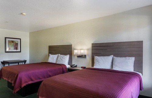 San Antonio Hotel | OYO Inn & Suites Medical Center San Antonio