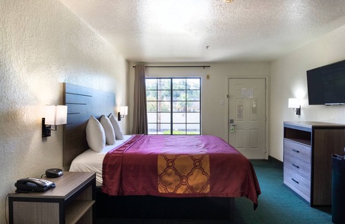 San Antonio Hotel | OYO Inn & Suites Medical Center San Antonio