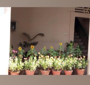 Kanpur Hotel | OYO The Villa Court View