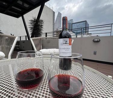 Colonia Cuauhtemoc Apartment | Pánuco Suites