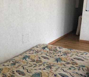 Perols Apartment | Pérols Centre, Studio unique au dessus de notre maison avec grande terrasse