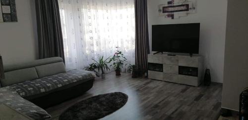 Tirgu Mures Apartment | P Apartman
