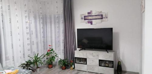 Tirgu Mures Apartment | P Apartman