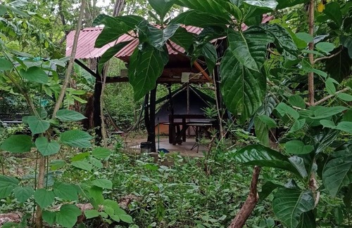 Tamarindo Cabin | Pacha Mama BIO