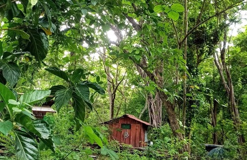 Tamarindo Cabin | Pacha Mama BIO