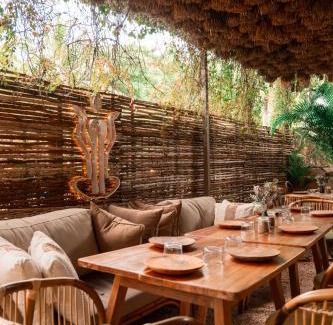 Downtown Cancun Hotel | Pachamaya Holistic Wellness & Spa