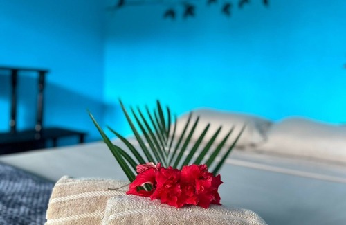 Drake Bay Hotel | Pacific Breeze Lodge