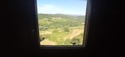 Castellina in Chianti Apartment | Palazzo Bianciardi Attico