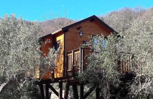 Marano Marchesato Bed & Breakfast | Palazzo Conforti Tree House Resort