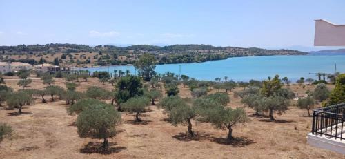 Porto Heli Apartment | Pale Orb Properties Porto Heli