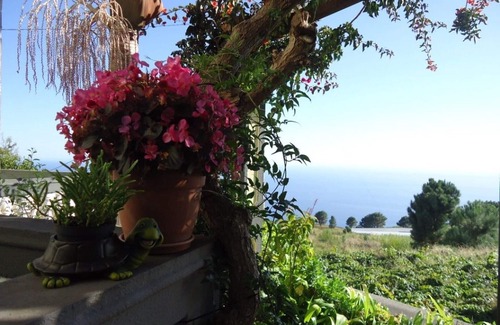Prazeres Cottage | Palheiro Cavalinho - A very beautiful and quiet place.