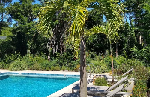Palm Beach Estates Apartment | Palm Beach Inn