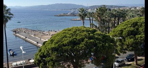 Pointe Croisette Apartment | Palm croisette front de mer1