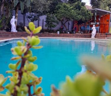Greater Johannesburg Metropolitan Area House | Palm Estate