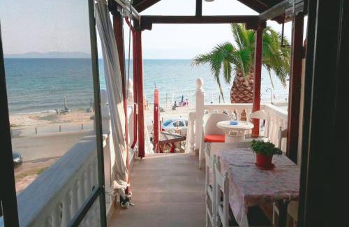 Pangaio Apartment | Palm Garden Villa