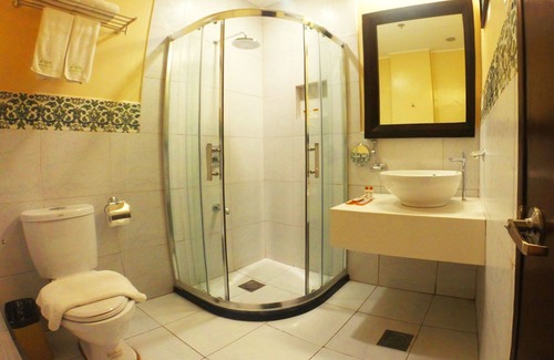 Downtown Cebu Hotel | Palm Grass Hotel