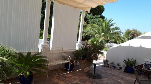 Torrox Villa | Palm tree villa