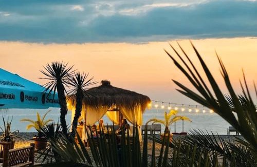 Kvariati Hotel | Palma Hotel Kvariati