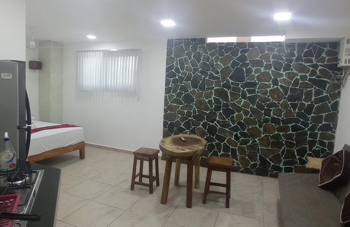 R Apartment | PALMAS DE CHAHUE E (376 SF)