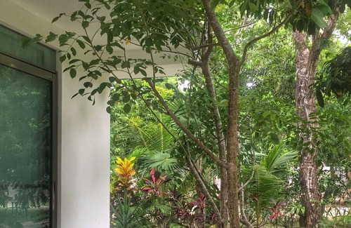 Puerto Morelos Apartment | Palmera Studio Apartment in Puerto Morelos @VillaNaktaan