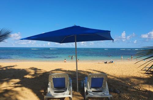 Las Terrenas Apartment | Palmeraie Terrenas Beach Apartment