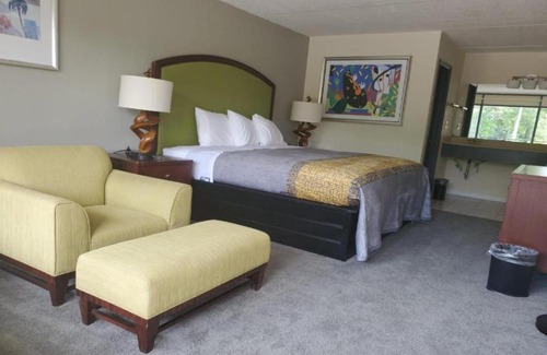 Orangeburg Hotel | Palmetto Inn & Suites by OYO Orangeburg