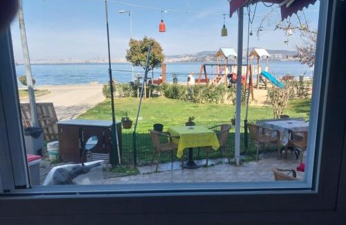 Adalar House | Palmiye Pansiyon