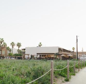 South Padre Island Hotel | Palms Resort & Cafe on the Beach