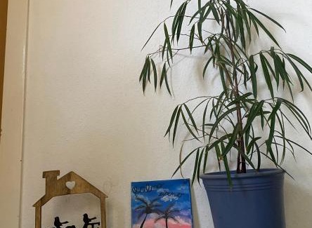 Rhein-Erft-Kreis District Apartment | Palms Zimmer