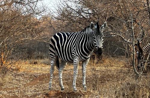 Hoedspruit House | Panache Wildlife Cottage-Self Catering