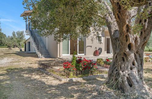 Sarlata Apartment | Panagis Apartments