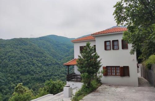 Zagora-Mouresi Apartment | Panorama