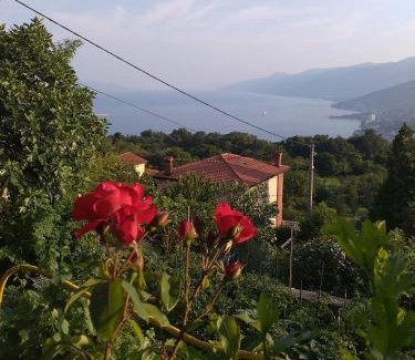 Sarsoni Apartment | Panorama