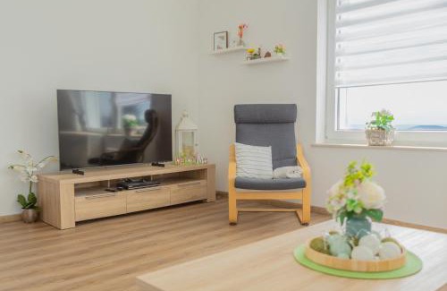 Sankt Andreasberg Apartment | Panoramablick