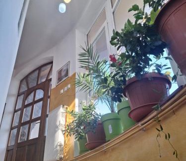 Tirgu Mures Apartment | Panoramic Apartment