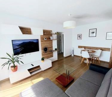 Tirgu Mures Apartment | Panoramic City View Apartment