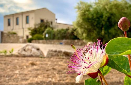 Noto House | Pantanelli Di Vendicari