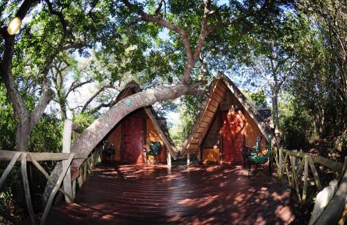 Thorny Bush Game Reserve Resort | Panzi Lodge