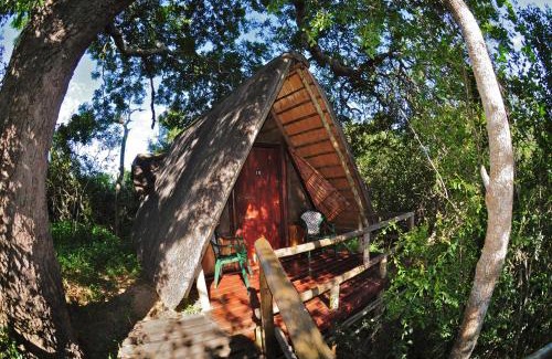 Thorny Bush Game Reserve Resort | Panzi Lodge