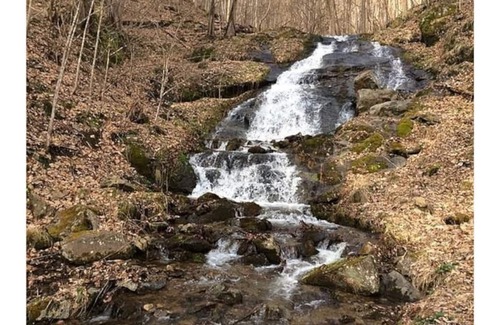 Hot Springs House | Papa Bear's Lair ~ Mountain Top Views