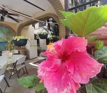 La Penita de Jaltemba Bed & Breakfast | Paradise Apartments