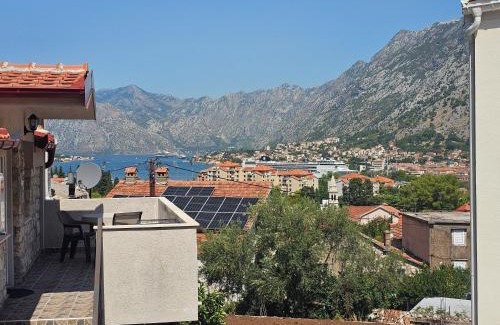 Skaljari Apartment | Paradise Bay Apartments