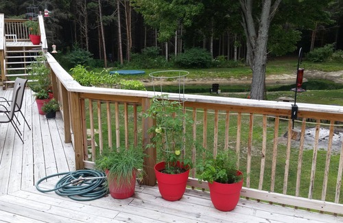 Norton Shores Apartment | Paradise Cove Main 5 Br/2 Baths ~ Sleeps Up To 24 ~ Pond, WIFI, Central AC