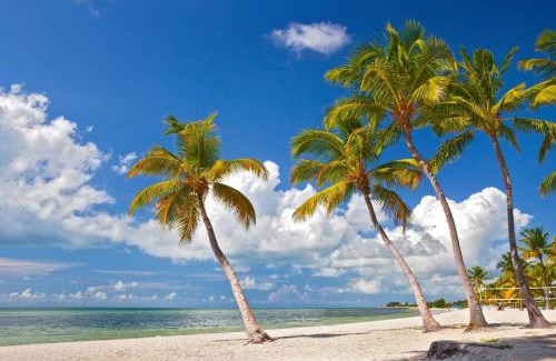 The Meadows House | Paradise Place by AvantStay Key West Old Town Condo w Shared Pool
