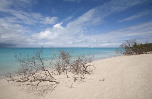 Barbuda Other | Paradiseview