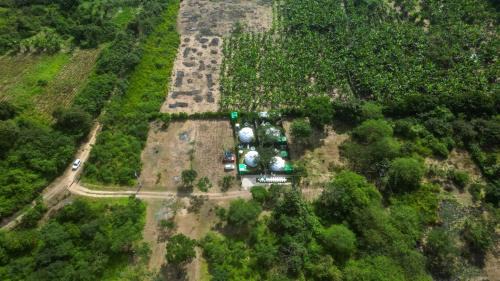 San Antonio Other | Paraiso Tropical Glamping