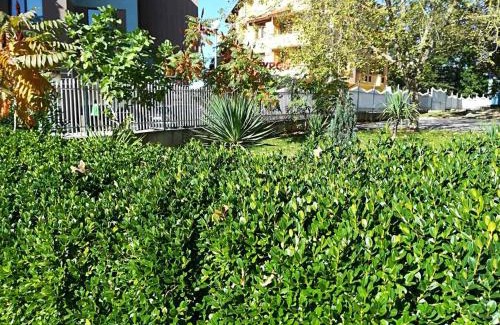 Kiten Hotel | Park 1