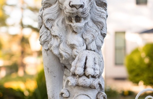 Auburn House | Park Victorian Private Event